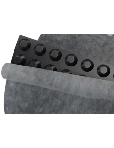 МАКСИСТУД ГЕО