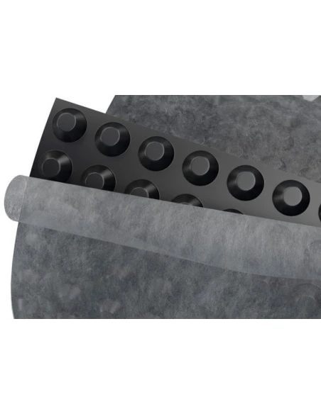 МАКСИСТУД ГЕО